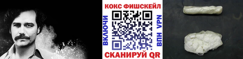 COCAIN Fish Scale  Нижняя Тура 