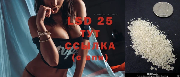 Альфа ПВП Няндома