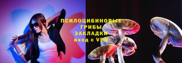 крисы Абдулино