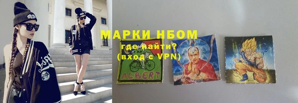 Альфа ПВП Няндома