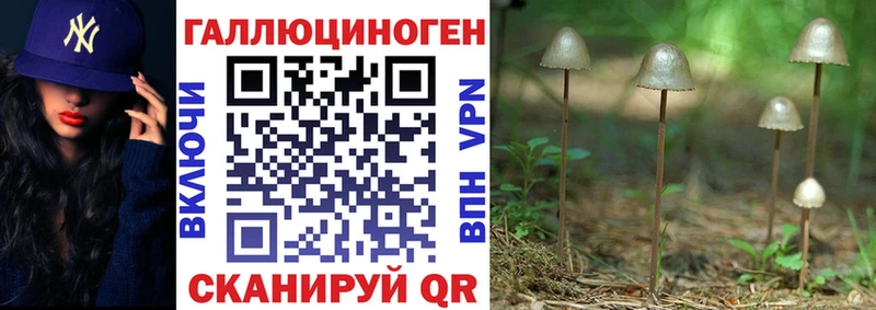 купить наркотики цена  Нижняя Тура  Галлюциногенные грибы GOLDEN TEACHER 